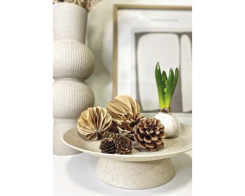 Plateau décoratif avec des pommes de pin, des décorations en papier et une jacinthe.
