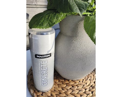 Bombe de peinture effet béton Mastons à côté d''un pot avec des plantes vertes