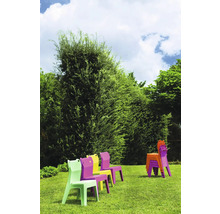 Paysage de jardin avec chaises d''enfant en plastique colorées, dont certaines sont empilées
