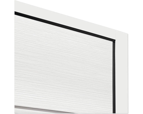 Vue détaillée d''une porte intérieure avec un cadre noir et une surface blanche