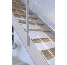 Detailansicht einer Treppe mit Edelstahlseil-Geländer und Holzstufen