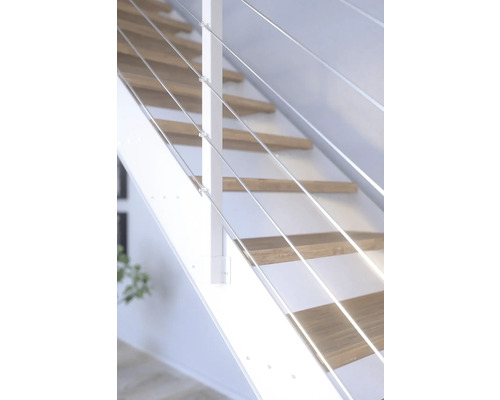 Treppe mit Holzstufen und Edelstahlgeländer