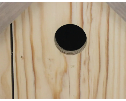Gros plan sur un nichoir en bois avec une ouverture ronde