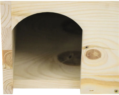 Vue détaillée d''une petite maison en bois non traité avec une ouverture en forme d''arc.