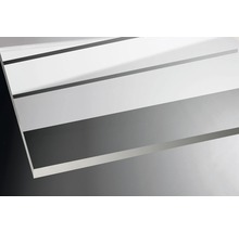 Mehrstegplatte aus Polycarbonat