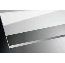 Plexiglas Platte