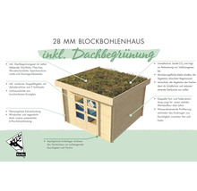 Gartenhaus Karibu Zelda 5 inkl. Dachbegrünungsset 297 x 297 cm natur