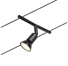 Schwarzer Strahler an einem Seilsystem