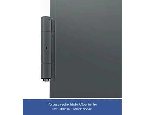 Nahaufnahme eines Torscharniers mit pulverbeschichteter Oberfläche und stabilen Federbändern.