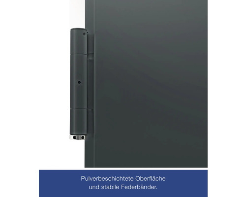 Detailansicht einer Tür mit pulverbeschichteter Oberfläche und stabilen Federbändern
