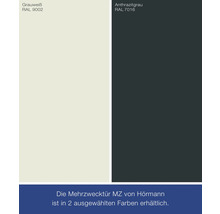 Farbauswahl für Hörmann Mehrzwecktür MZ: Grauweiß RAL 9002 und Anthrazitgrau RAL 7016