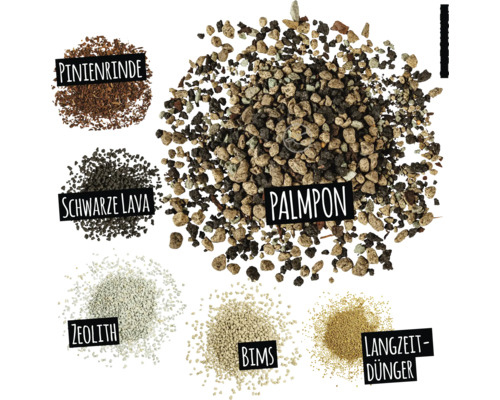 Darstellung verschiedener Zuschlagstoffe für Pflanzsubstrate: Kiefernrinde, schwarze Lava, Zeolith, Bims, Langzeitdünger und Palmpone