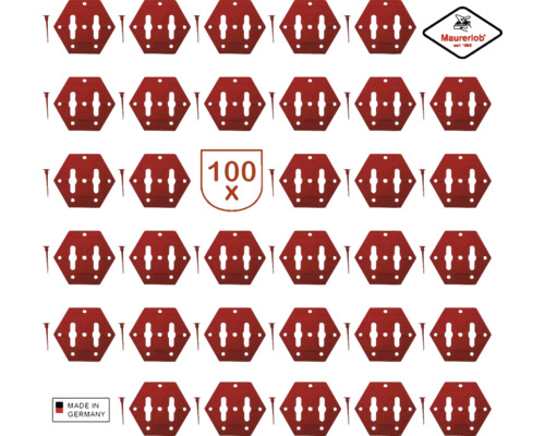 100 pièces Mauererlob Crochets à tableau avec clous