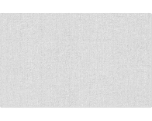 Fibres intissées Erfurt 1004303 Basic 101 10,05x0,53 m Papier peint structuré blanc