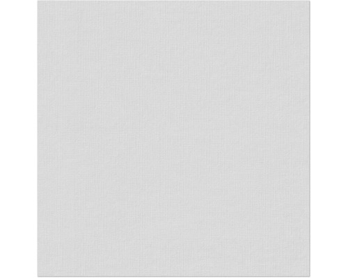 Fibres intissées Erfurt 1004377 Basic 108 10,05x0,53 m Papier peint textile