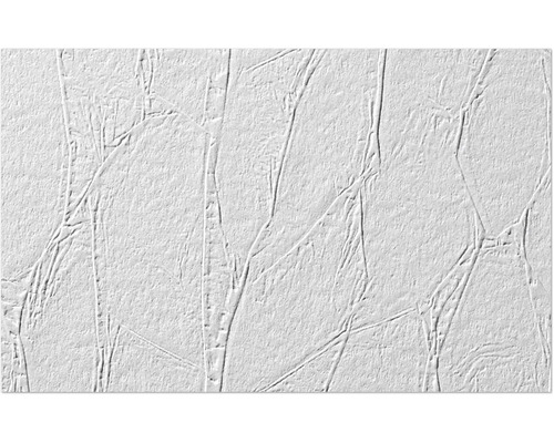 Fibres intissées Erfurt 1004308 Protect 200 10,05x0,53 m Papier peint avec motif abstrait