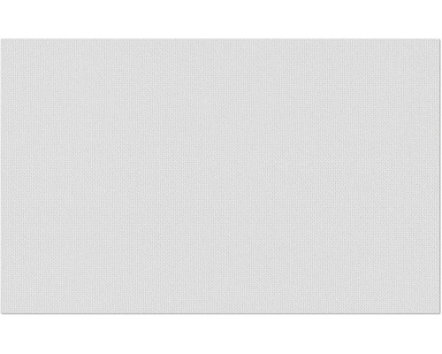 Fibres intissées Erfurt 1004309 Protect 201 10,05x0,53 m Gros plan d''un tissu blanc.