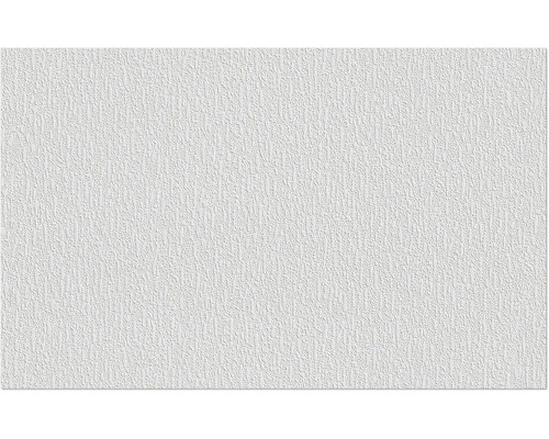 Fibres intissées Erfurt 1004310 Protect 202 10,05x0,53 m Papier peint ingrain blanc avec une structure fine