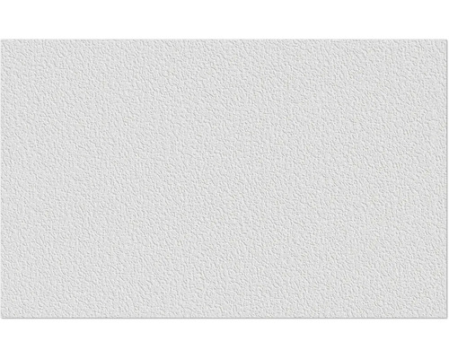 Fibres intissées Erfurt 1004312 Protect 204 10,05x0,53 m Papier ingrain blanc avec structure fine