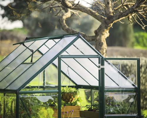 Gewächshaus mit geöffneter Tür und Pflanzen im Garten