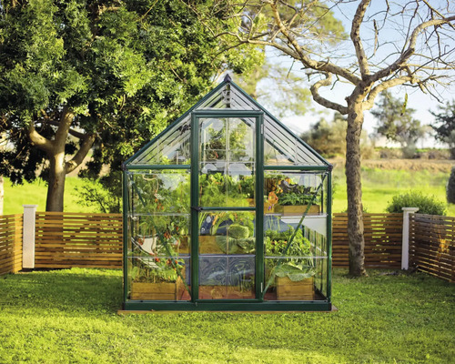 Gewächshaus mit Pflanzen im Garten.