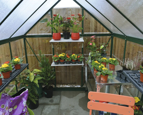 Gewächshaus mit Pflanzen auf Regalen und Tischen