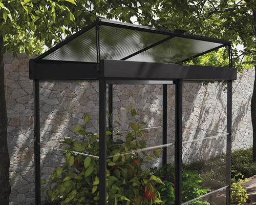 Serre avec plantes dans le jardin