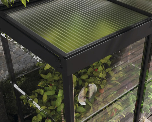 Vue détaillée d''une serre avec des plantes