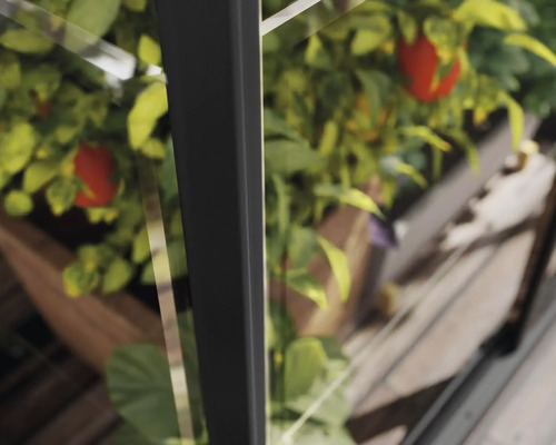 Gros plan d''une serre avec des plantes