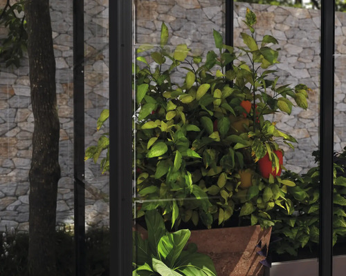 Serre avec des plantes en pot dans le jardin.