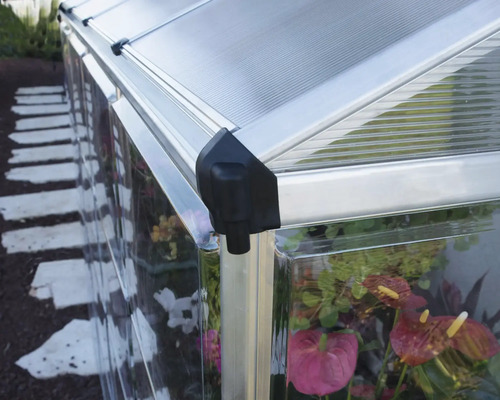 Vue détaillée d''une serre avec des plantes