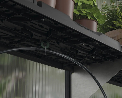 Vue détaillée du système d''irrigation dans une serre avec étagères