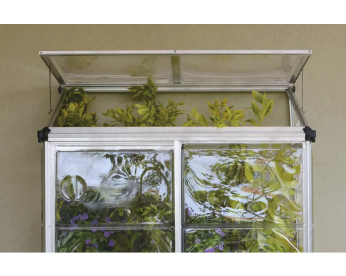 Serre avec couvercle ouvert et plantes