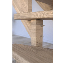Pertura Wangentreppe Atanas Eiche mit Setzstufen Seitenwange unbehandelt Eiche 1/4-gewendelt unten rechts 100 cm 13 Stufen / 14 Steigungen Stabgeländer
