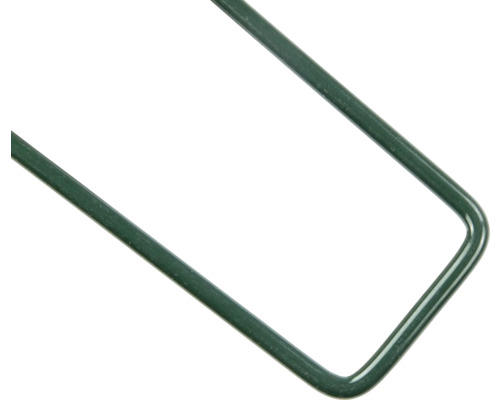 Gros plan d''un coin de tuteur pour plantes vert