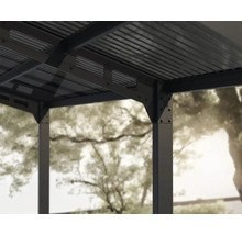 Carport simple CANOPIA by Palram Sydney Wave 286 x 587 cm noir