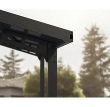 Carport simple CANOPIA by Palram Sydney Wave 286 x 587 cm noir