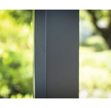 Carport simple CANOPIA by Palram Colorado 426 x 425 cm anthracite