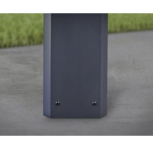 Carport double CANOPIA by Palram Colorado 14x20 426 x 612 cm anthracite