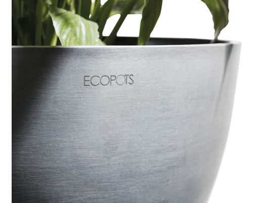 Blumentopf mit Ecopots-Schriftzug