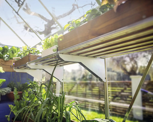 Gewächshaus mit Regalen und Pflanzen in Töpfen