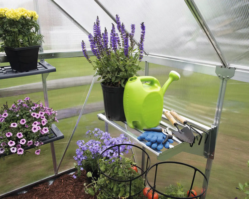 Gewächshaus mit Pflanzen, Regalen, Giesskanne und Gartengeräten.