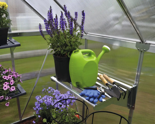 Innenansicht eines Gewächshauses mit Pflanzen, Giesskanne und Gartengeräten auf Regalen