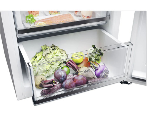 Gemüsefach eines Kühlschranks gefüllt mit Salat, Pflaumen und Rüben