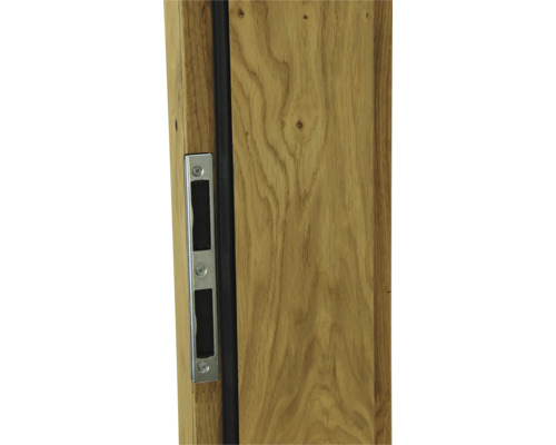 Détail d''une porte en bois avec serrure