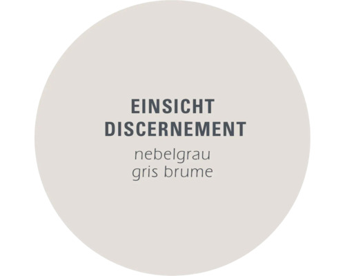 Champ de couleur Perspicacité gris brume