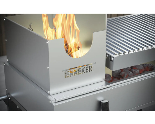 Grill en acier inoxydable avec foyer et charbon de bois