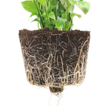 Pot de fleurs Ecopots Paris plastique Ø 96,6 cm 99,7 x 46,4 x 51 cm brun