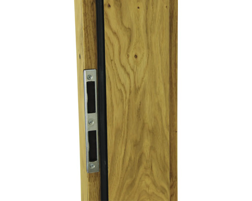 Détail d''une porte en bois avec boîtier de serrure