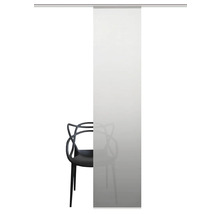 Schiebegardine Madrid grau 60x245 cm